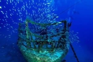 Scuba dive Madeira, the safe port of the Atlantic