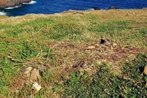 Secret Sunrises- An adventure to Madeira’s Hidden Dawn Views