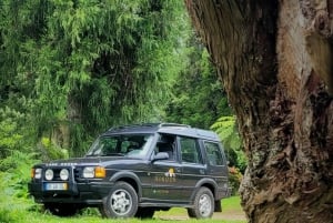 Secret Sunrises- An adventure to Madeira’s Hidden Dawn Views