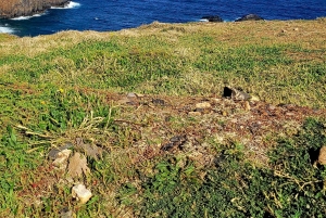 Secret Sunrises - Une aventure à la découverte des levers de soleil cachés de Madère