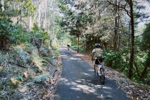 'Self-Guided' E-Bike Road Tour - Camacha to Monte with Lunch