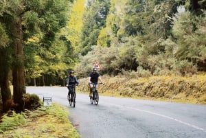 'Self-Guided' E-Bike Road Tour - Camacha to Monte with Lunch