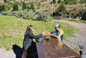 'Self-Guided' E-Bike Road Tour - Camacha to Monte with Lunch