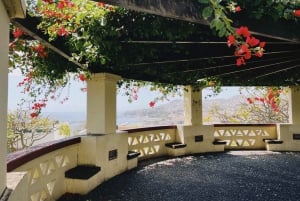 'Self-Guided' E-Bike Road Tour from Funchal to Garajau