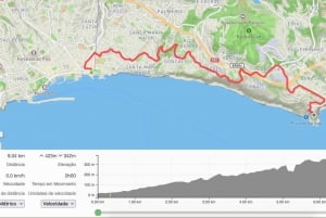 'Self-Guided' E-Bike Road Tour from Funchal to Garajau