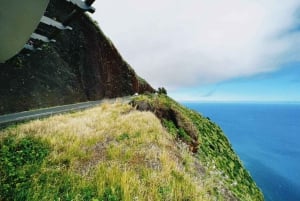 'Self-Guided' E-Bike Road Tour from Funchal to Garajau