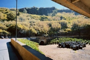 'Self-Guided' E-Bike Road Tour from Funchal to Garajau