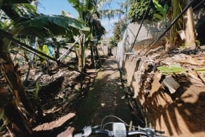 'Self-Guided' E-Bike Road Tour - Funchal to Câmara de Lobos