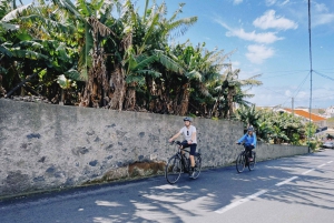Tour autoguiado en bicicleta eléctrica por carretera: de Funchal a Câmara de Lobos