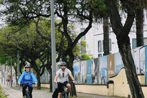 Tour autoguiado en bicicleta eléctrica por carretera: de Funchal a Câmara de Lobos