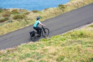 'Self-Guided' E-Bike Tour - Ponta de São Lourenço to Funchal