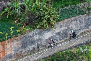 'Self-Guided' E-Bike Tour - Ponta de São Lourenço to Funchal