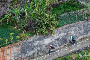 Self-Guided Road E-Bike Tour Ponta São Lourenço to Funchal