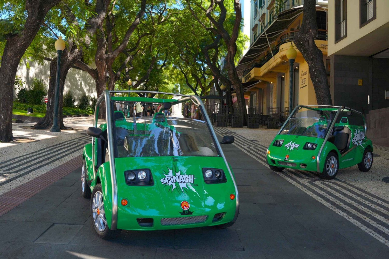 Self-drive Guided Tour | Explore Funchal on an Electric Car