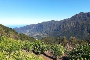 Serra d’Água: A Scenic Levada Walk