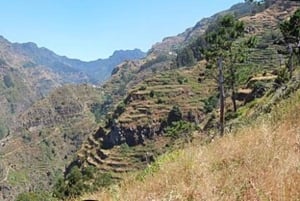 Serra d’Água: A Scenic Levada Walk