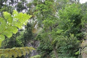 Serra d’Água: En naturskön levadavandring