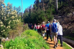 Serra de Água Valley Levada Walk