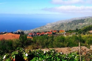 Serra de Água Valley Levada Walk