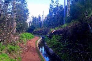 Serra de Água Valley Levada Walk