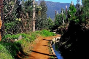 Serra de Água Valley Levada Walk