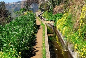 Serra de Água Valley Levada Walk