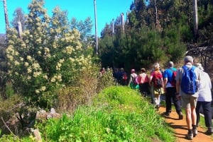 Wandeling Levada van de Serra de Água-vallei