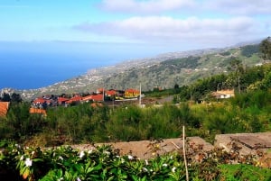 Wandeling Levada van de Serra de Água-vallei