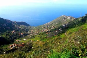 Wandeling Levada van de Serra de Água-vallei
