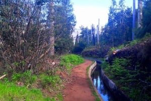 Wandeling Levada van de Serra de Água-vallei