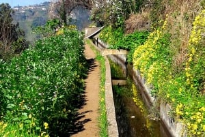 Wandeling Levada van de Serra de Água-vallei