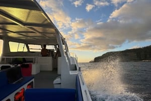 Madeira: LAATSTE OPROEP Oudejaarsavond - Vuurwerk op zee 2025/26