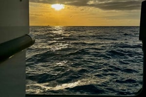 Madeira: LAATSTE OPROEP Oudejaarsavond - Vuurwerk op zee 2025/26