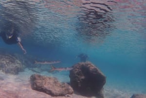 Porto Santo: Guided Snorkeling Tour in Protected Waters