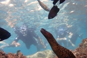 Porto Santo: Guided Snorkeling Tour in Protected Waters