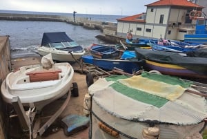 Sud de Madère : excursion d'une journée, montagne et côte à couper le souffle