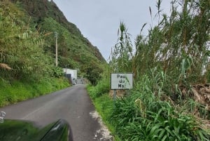 Sud de Madère : excursion d'une journée, montagne et côte à couper le souffle