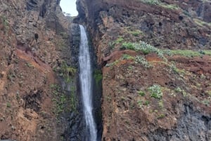 Sud de Madère : excursion d'une journée, montagne et côte à couper le souffle