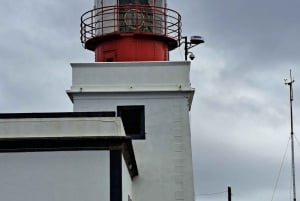 Sud de Madère : excursion d'une journée, montagne et côte à couper le souffle