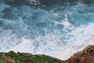 Sul da Madeira: excursão de 1 dia, viagem de tirar o fôlego pela montanha e pela costa