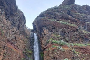 Sul da Madeira: excursão de 1 dia, viagem de tirar o fôlego pela montanha e pela costa