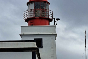 Sul da Madeira: excursão de 1 dia, viagem de tirar o fôlego pela montanha e pela costa