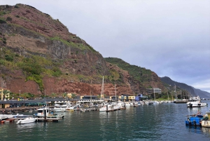 Sul da Madeira: excursão de 1 dia, viagem de tirar o fôlego pela montanha e pela costa