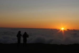 South & Sunset 4x4 Jipe tour - SOUTHWEST COAST MADEIRA