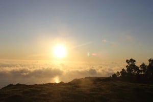 South & Sunset 4x4 Jipe tour - SOUTHWEST COAST MADEIRA