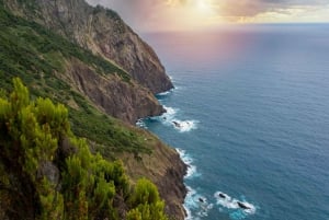 Madeira Private Premium Eco-Friendly Tour in Electric Car