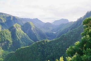 Sunrise Tour @ Pico Do Areiro | Half Day 4x4 Tour