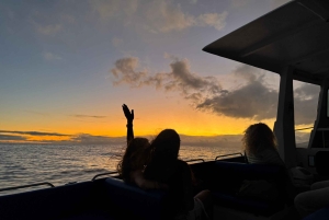 Au départ de Madère : tour en bateau des lumières de Noël