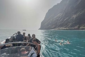 Solnedgangstur + delfin- og hvalsafari - hurtigbåt