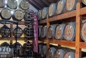 Madeira: Surreal East Experience